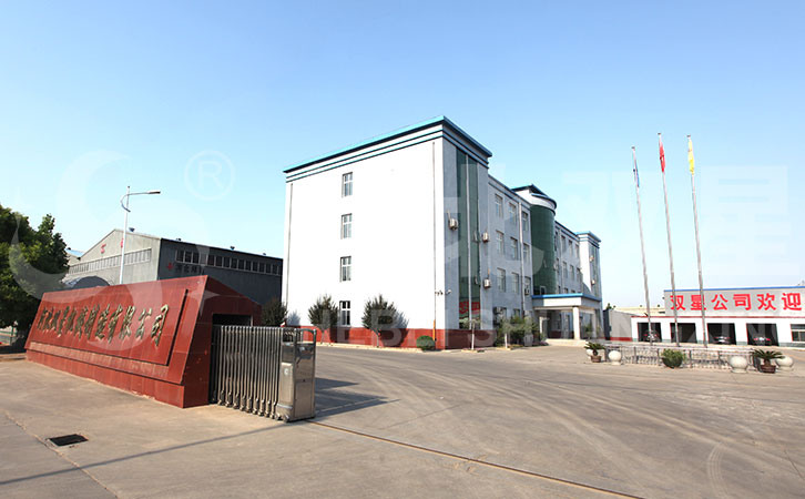 河北双星公司实景